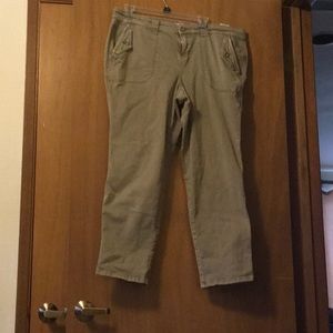 Torrid beige pants